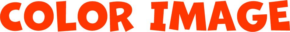 COLOR IMAGE